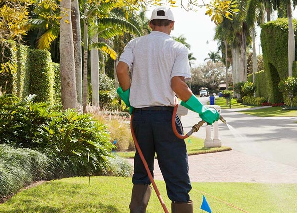 About Elizabeth CO Pest Control Pros